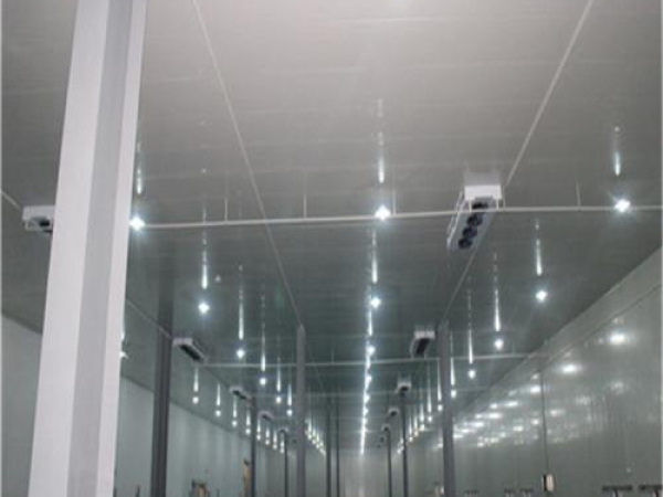 建造安裝食品低溫冷藏庫有哪些因素影響造價？